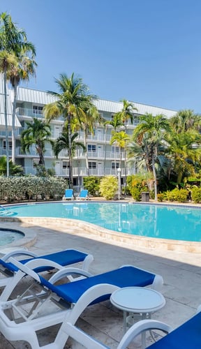 Tropical pool with blue loungers and lush palms